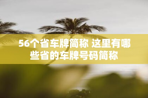 56个省车牌简称 这里有哪些省的车牌号码简称