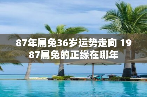 87年属兔36岁运势走向 1987属兔的正缘在哪年