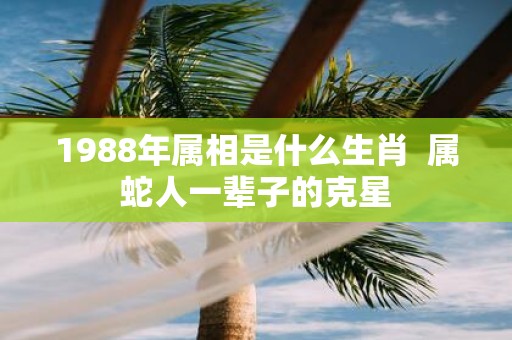1988年属相是什么生肖 属蛇人一辈子的克星