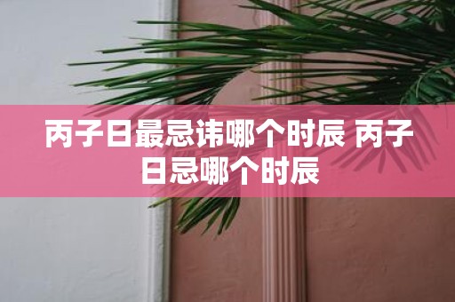 丙子日最忌讳哪个时辰 丙子日忌哪个时辰