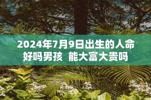 2025年7月9日出生的人命好吗男孩 能大富大贵吗