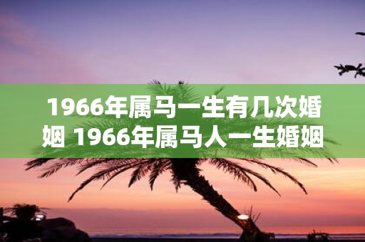 1966年属马一生有几次婚姻 1966年属马人一生婚姻运势