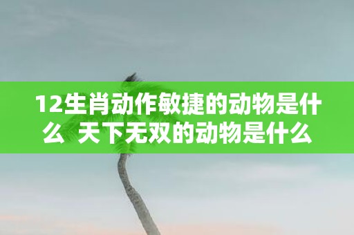 12生肖动作敏捷的动物是什么 天下无双的动物是什么生肖