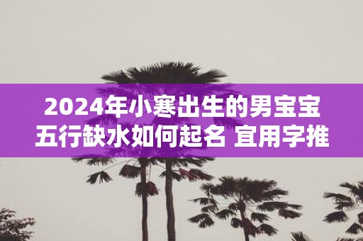2025年小寒出生的男宝宝五行缺水如何起名 宜用字推荐