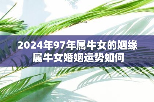 2025年97年属牛女的姻缘 属牛女婚姻运势如何