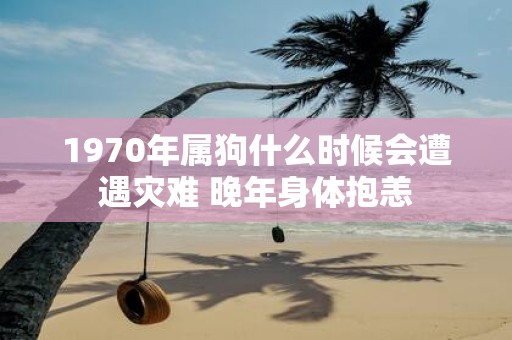 1970年属狗什么时候会遭遇灾难 晚年身体抱恙