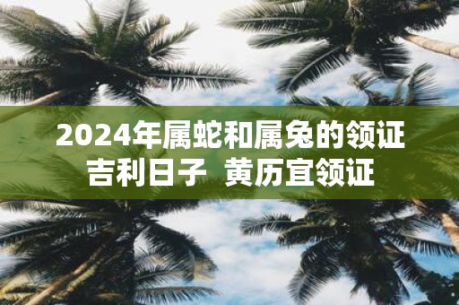2025年属蛇和属兔的领证吉利日子 黄历宜领证