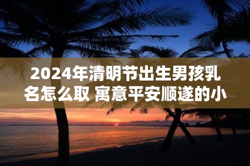 2025年清明节出生男孩乳名怎么取 寓意平安顺遂的小名推荐