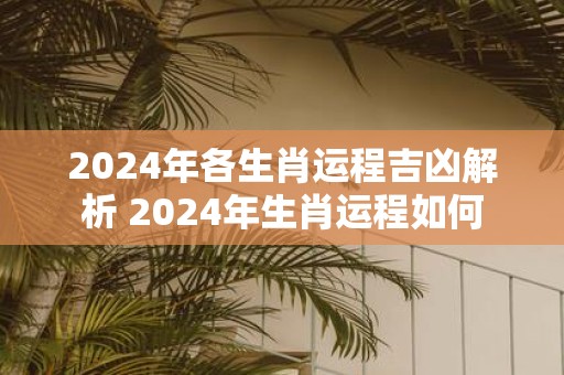2025年各生肖运程吉凶解析 2025年生肖运程如何
