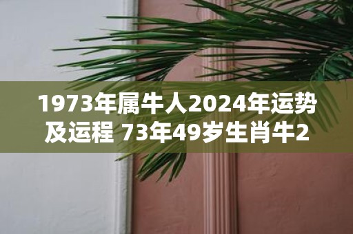 1973年属牛人2025年运势及运程 73年49岁生肖牛2025年运势