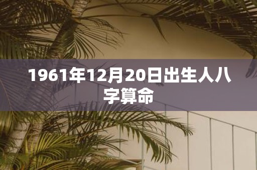 1961年12月20日出生人八字算命