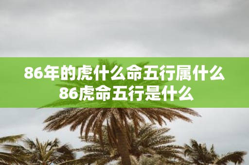 86年的虎什么命五行属什么 86虎命五行是什么