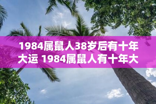 1984属鼠人38岁后有十年大运 1984属鼠人有十年大运吗