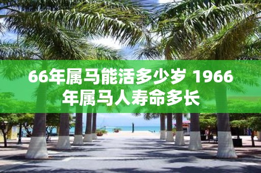 66年属马能活多少岁 1966年属马人寿命多长