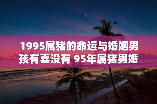 1995属猪的命运与婚姻男孩有喜没有 95年属猪男婚姻状况