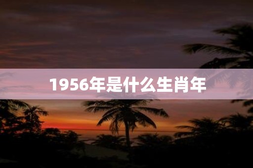 1956年是什么生肖年