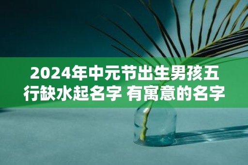 2025年中元节出生男孩五行缺水起名字 有寓意的名字推荐