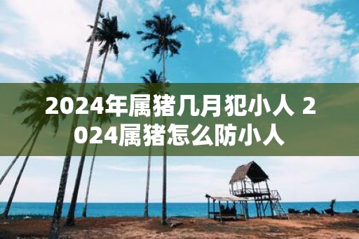 2025年属猪几月犯小人 2025属猪怎么防小人