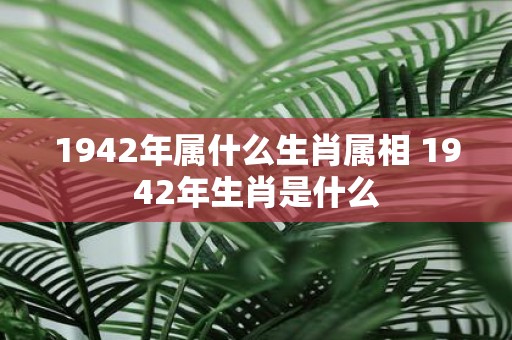 1942年属什么生肖属相 1942年生肖是什么