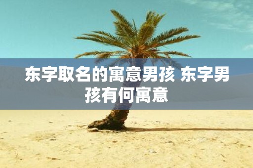 东字取名的寓意男孩 东字男孩有何寓意