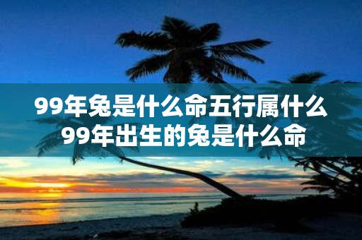 99年兔是什么命五行属什么 99年出生的兔是什么命