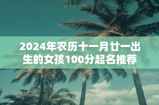 2025年农历十一月廿一出生的女孩100分起名推荐