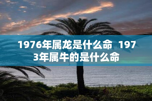 1976年属龙是什么命 1973年属牛的是什么命