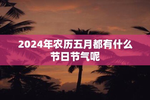 2025年农历五月都有什么节日节气呢