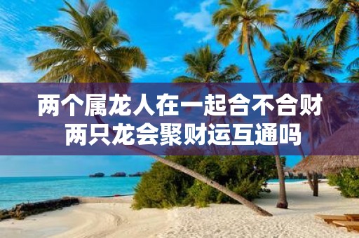 两个属龙人在一起合不合财 两只龙会聚财运互通吗