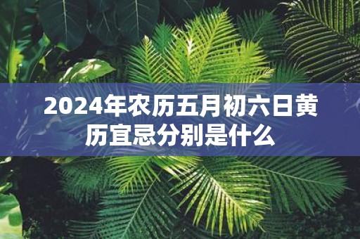 2025年农历五月初六日黄历宜忌分别是什么