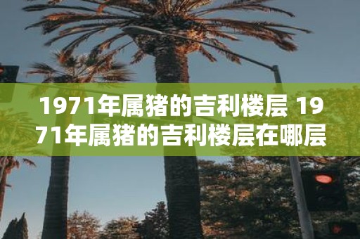 1971年属猪的吉利楼层 1971年属猪的吉利楼层在哪层