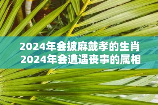 2025年会披麻戴孝的生肖 2025年会遭遇丧事的属相