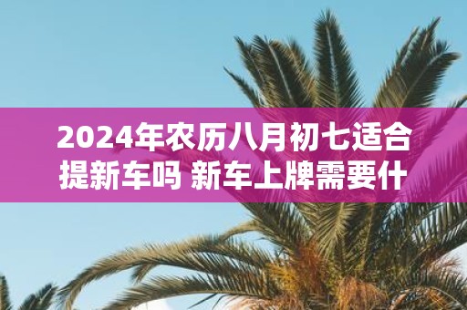2025年农历八月初七适合提新车吗 新车上牌需要什么资料