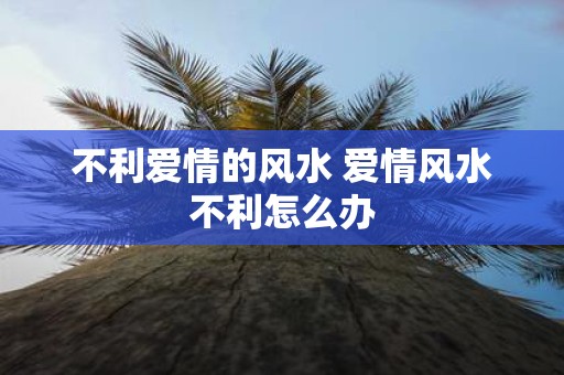 不利爱情的风水 爱情风水不利怎么办