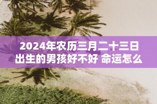2025年农历三月二十三日出生的男孩好不好 命运怎么样