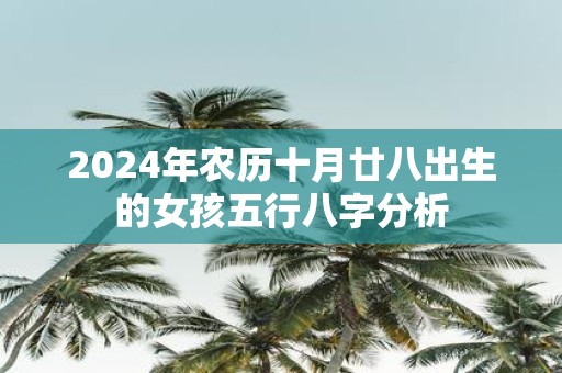 2025年农历十月廿八出生的女孩五行八字分析