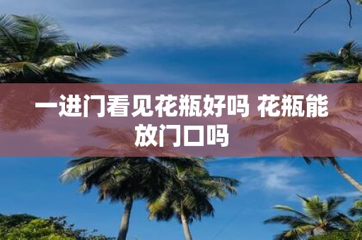 一进门看见花瓶好吗 花瓶能放门口吗