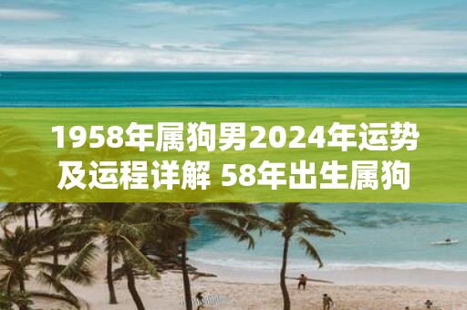 1958年属狗男2025年运势及运程详解 58年出生属狗人2025全年每月运势男性