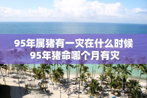 95年属猪有一灾在什么时候 95年猪命哪个月有灾