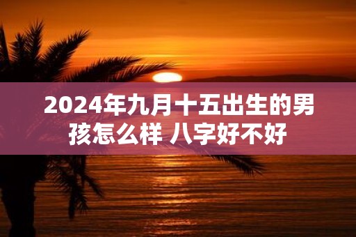 2025年九月十五出生的男孩怎么样 八字好不好