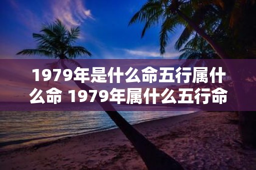 1979年是什么命五行属什么命 1979年属什么五行命
