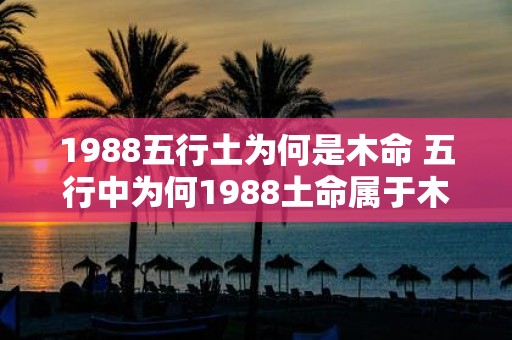 1988五行土为何是木命 五行中为何1988土命属于木
