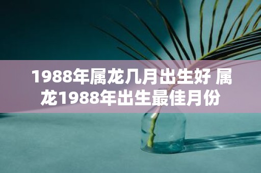 1988年属龙几月出生好 属龙1988年出生最佳月份