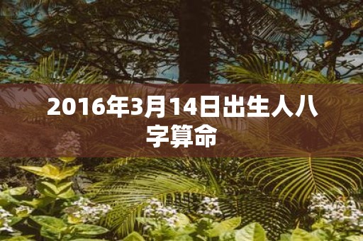 2016年3月14日出生人八字算命