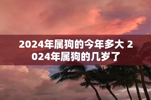 2025年属狗的今年多大 2025年属狗的几岁了