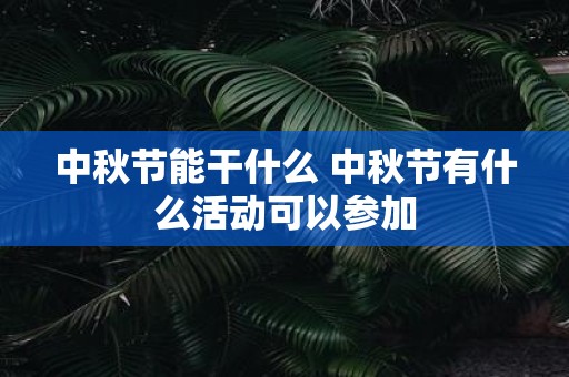 中秋节能干什么 中秋节有什么活动可以参加