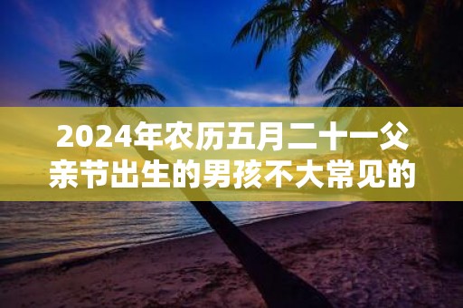 2025年农历五月二十一父亲节出生的男孩不大常见的好名字精选