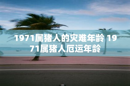 1971属猪人的灾难年龄 1971属猪人厄运年龄