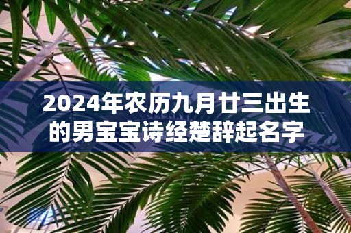 2025年农历九月廿三出生的男宝宝诗经楚辞起名字