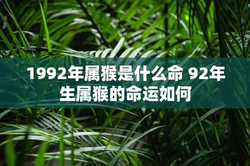 1992年属猴是什么命 92年生属猴的命运如何